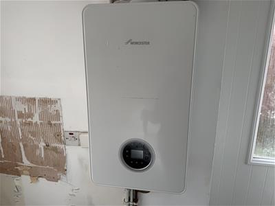 Picture 8